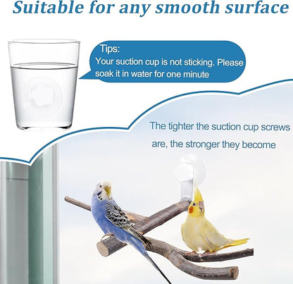 Bird Perch with Suction Cup Window Wall Bath Car Outdoor Travel Perch Stand - Image 6