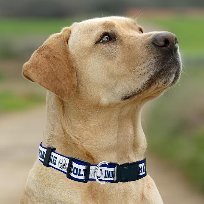 New & Improved Pets First NFL Licensed PET Collar- Heavy-Duty, and Durable New - Image 4