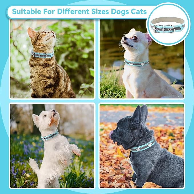 PETCARE Reflective Dog Collar - Image 3