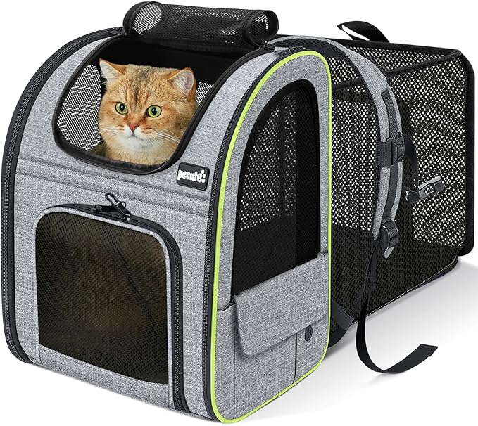 Pecute Cat Backpack Carrier Expandable, Foldable Pet Backpack by pecute