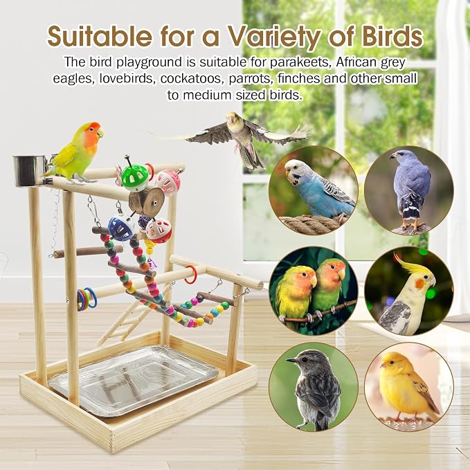 PINVNBY Bird Playground Parrot Playstand Play Gym Cockatiel Wood Bird Toys - Image 6