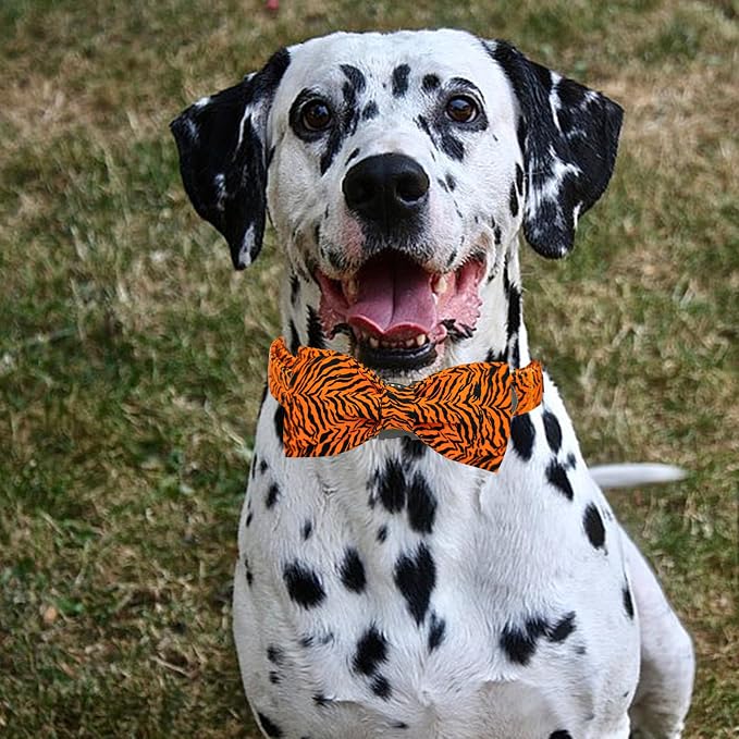 Elegant Little Tail Tiger Print X-Small Puppy Dog Collar, Buckle Closure - Image 6