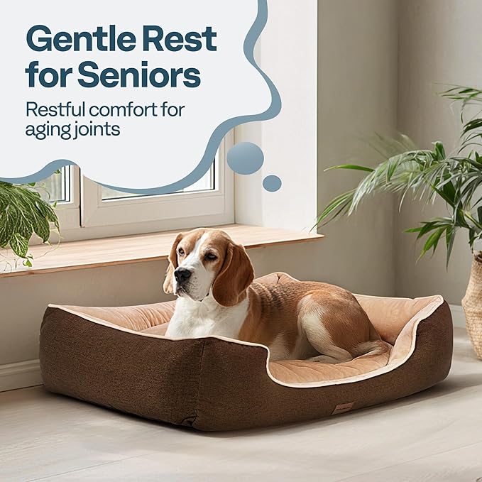 Orthopedic Dog Bed for Large Sized Dogs - Image 2