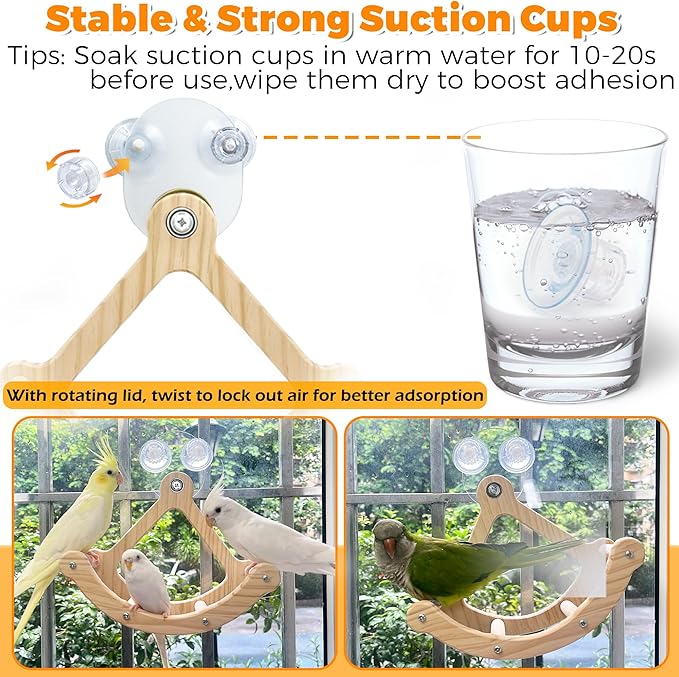 Rocking Bird Toys Perch for Window and Cage, Bird Perch for Wall Suction Mount - Image 4