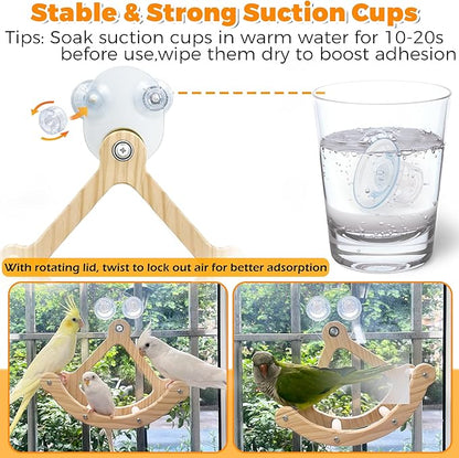 Rocking Bird Toys Perch for Window and Cage, Bird Perch for Wall Suction Mount - Image 4
