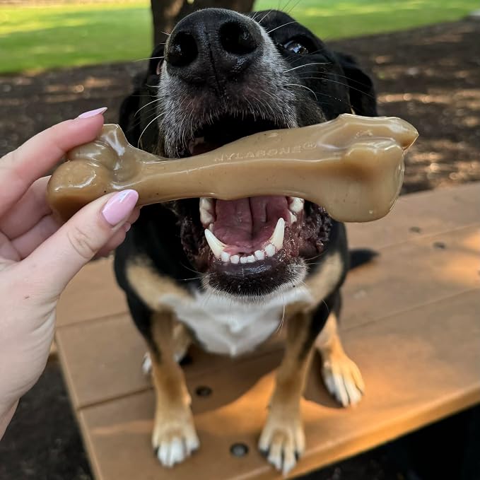 Nylabone Gourmet Style Femur Bone Strong Chew Toy - Image 2