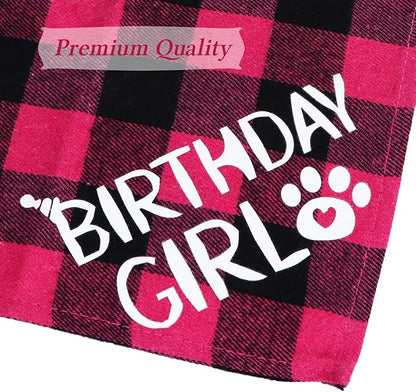 STMK Cat Birthday Party Supplies - Image 6
