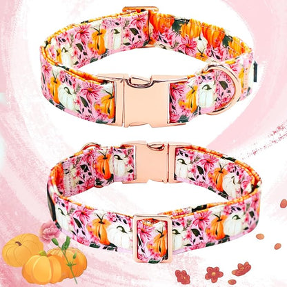 Fall Dog Collar - Image 4