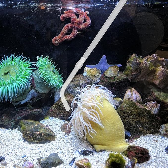 KABASI Waste Clean Tool Coral Fish Feeder, 50ml Manual Acrylic Pipette Suction - Image 4