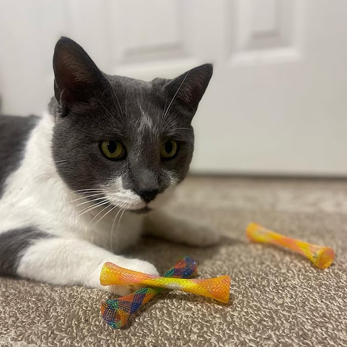 SPOT Kitty Fun Tubes Cat Toy | Bouncy Cat Toy - Image 2
