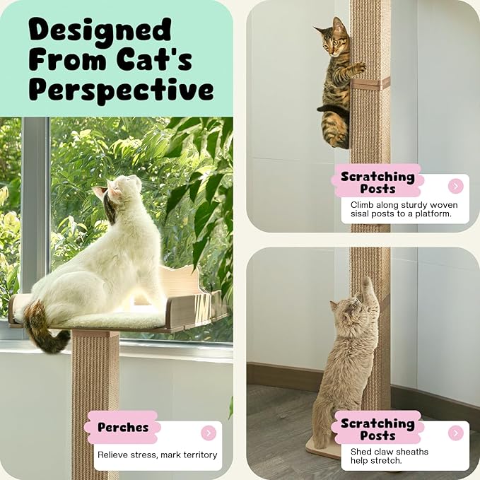 Cat Window Perch with Thick Sisal Scratching Post, Cat Hammock - Image 2
