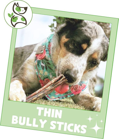 Nature Gnaws Thin Bully Sticks for Dogs 5-6" - Image 6