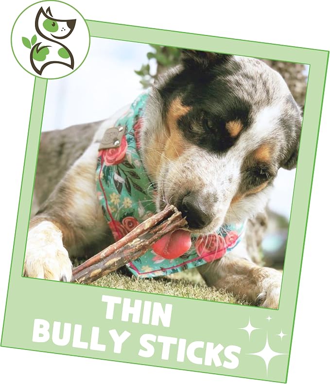 Nature Gnaws Thin Bully Sticks for Dogs 5-6" - Image 6