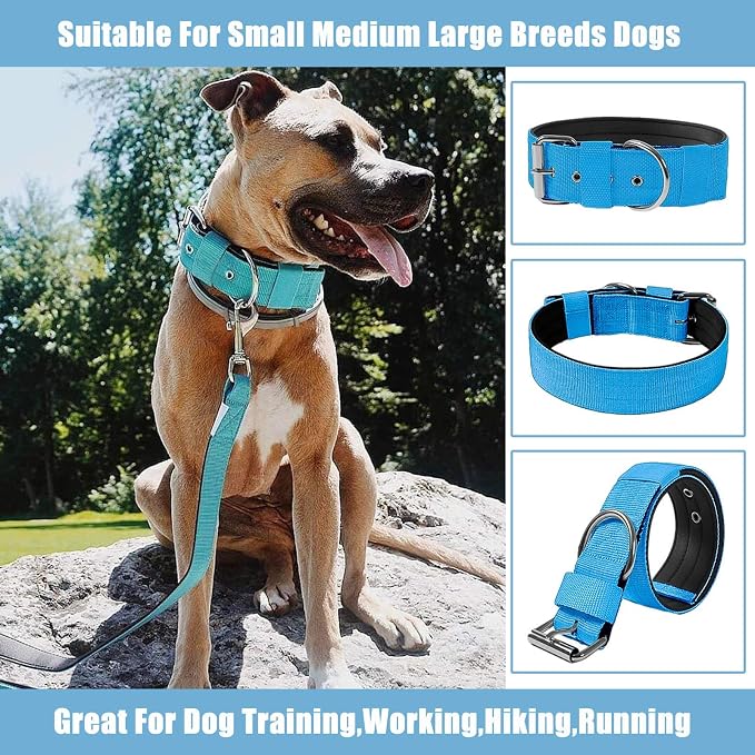 Heavy Duty Tactical Dog Collar - Image 8