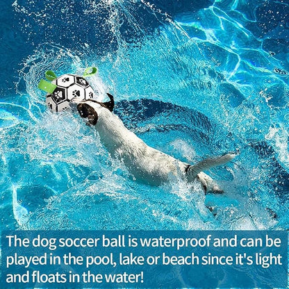 QDAN Dog Soccer Balls Toy with Bell Inside, Outdoor Interactive Dog Toys - Image 8