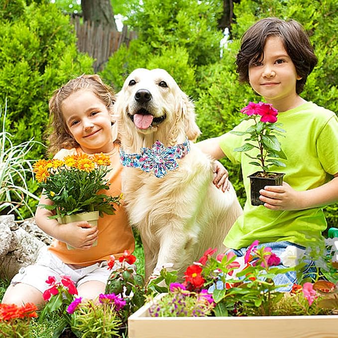 Lionheart Glory Floral Dog Collar - Image 3
