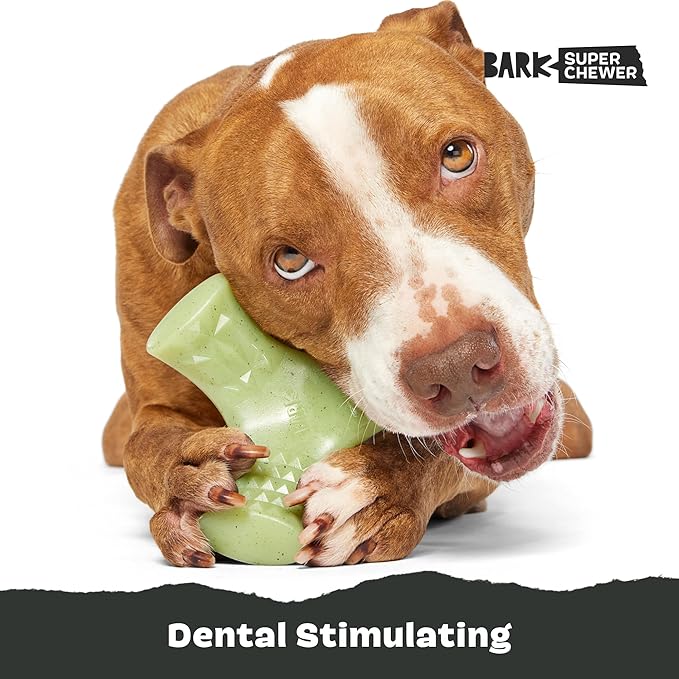 Barkbox Super Chewer Tough Dog Chew Toys - Image 5
