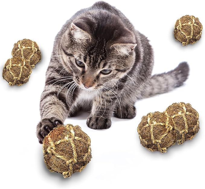 SunGrow Assorted Rabbit & Cat Chew Balls, Teething Activity Toy - Image 6