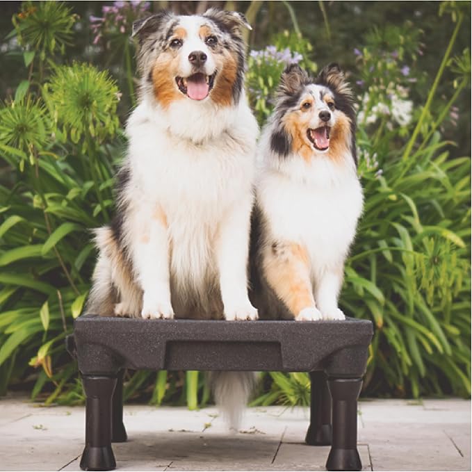 Blue-9 Pet Products KLIMB Dog Training Platform and Agility System, Durable and - Image 5