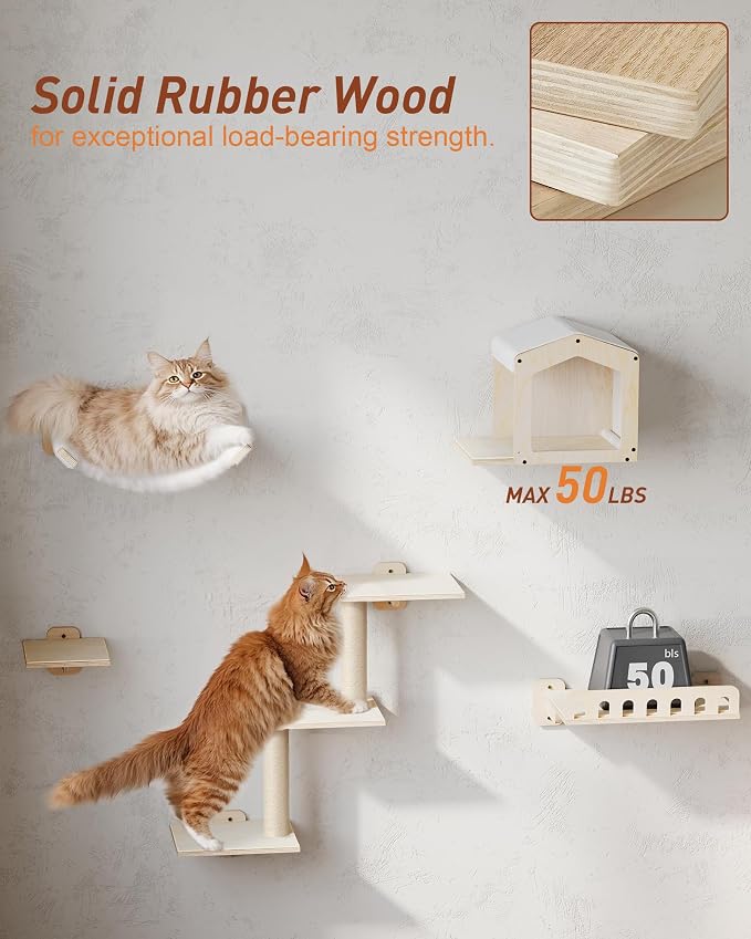 Cat Wall Shelves for Large Cats, 5-in-1 Cat Wall Furniture - Image 2