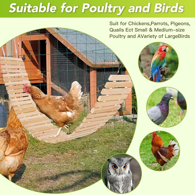 Jorewood Chicken Coop Toy Natural Wooden Chicken Swing & Bridge Toys - Image 7