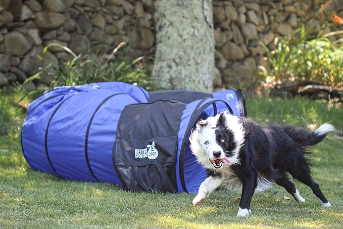 Better Sporting Dogs 16 Foot Dog Agility Tunnel - Image 9