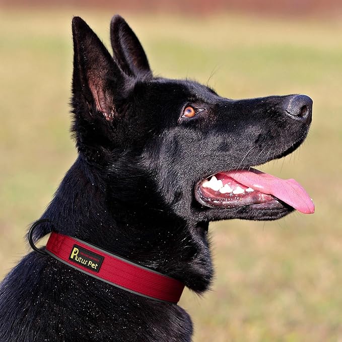 Plutus Pet Tactical Dog Collar, Reflective, Adjustable Heavy Duty Dog Collar - Image 6