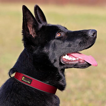 Plutus Pet Tactical Dog Collar, Reflective, Adjustable Heavy Duty Dog Collar - Image 6