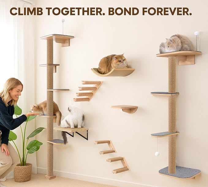 Floor to Ceiling Cat Tree for Kittens, 5-Tier Wall Mounted Cat Wall Shelves - Image 5
