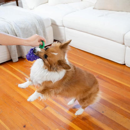 Outward Hound Dental Grapes Dog Toy & Treat Stuffer, 6″ x 3″ Grape-Scent - Image 8