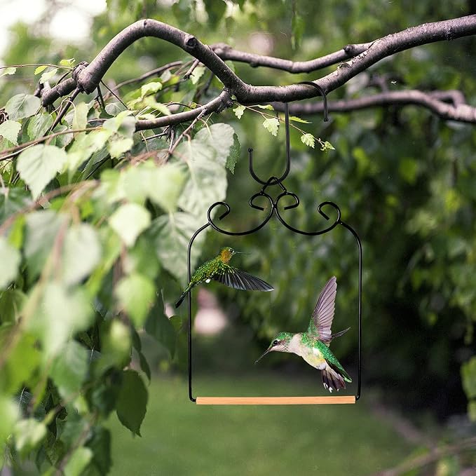 2 Pack Hummingbird Swings and Perches Metal Frames - Image 7
