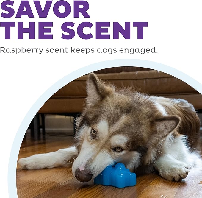 Outward Hound Gummiez Bear Dog Toy & Treat Stuffer, 4.7″ x 3″ Blue - Image 5