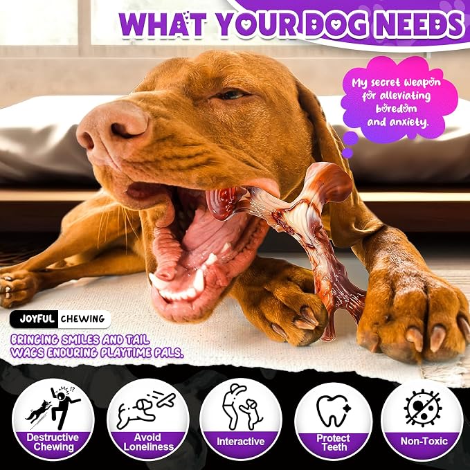 4 Pack Dog Chew Toys for Aggressive Chewers - Image 2