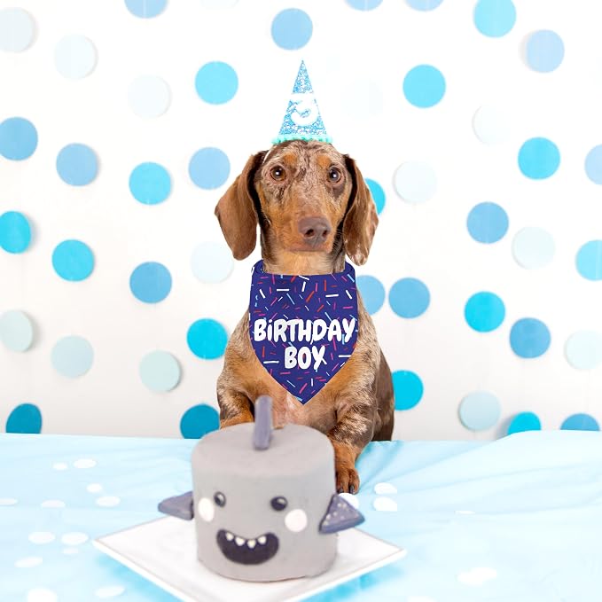 Birthday Boy Dog Bandanas 1 Pack, Pet Scarves - Image 2