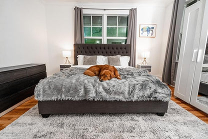 PupProtector Waterproof Throw Blanket - Image 3