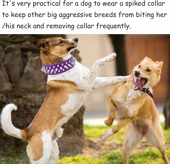 TEEMERRYCA Adjustable PU Leather Spiked Studded Dog Collars - Image 3