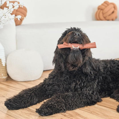 SPOT Bam-Bones Plus Branch -Bamboo Fiber & Nylon, Durable Long Lasting Dog Chew - Image 15