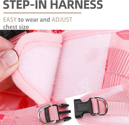 PUPTECK Adjustable Dog Harness Collar and Leash Set Step in No Pull Pet Harness - Image 3