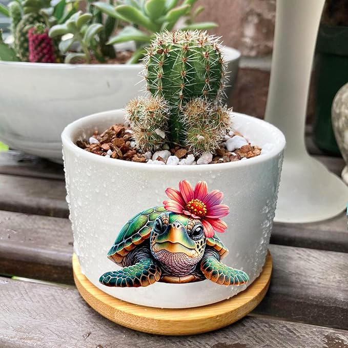Turtle Succulent Pots 3 Pack, 3 Inch Succulent Planters - Image 6