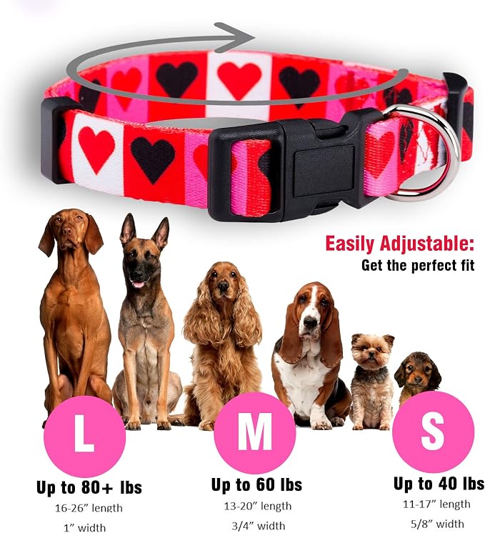Native Pup Valentine’s Dog Collar- Valentines Day Pet Collars- Valentine Girly - Image 3