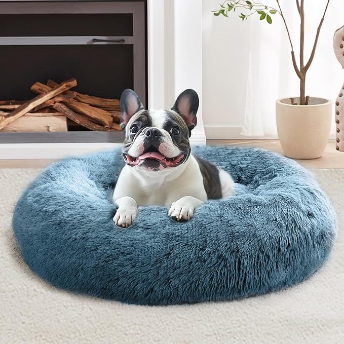 JOLLYVOGUE Calming Dog Bed Medium Size Dog, Anti-Anxiety Donut Medium Pet Bed by JOLLYVOGUE