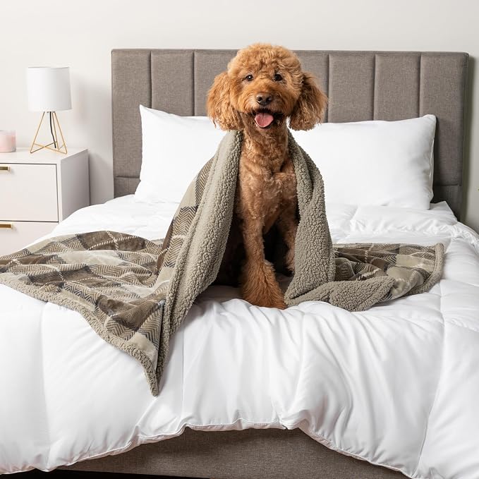 PetAmi Waterproof Dog Blanket for Small Medium Dog Puppy Cat Throw for Couch - Image 7