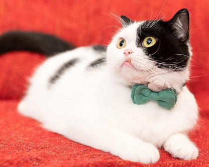 Collar for Cat Pet Breakaway - Image 4