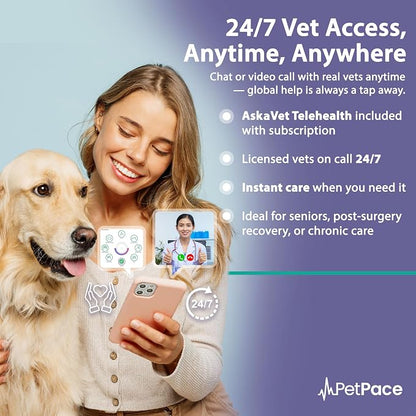 NEW Dog Health Monitor V3.0 by PetPace – AI Smart Collar - Image 5