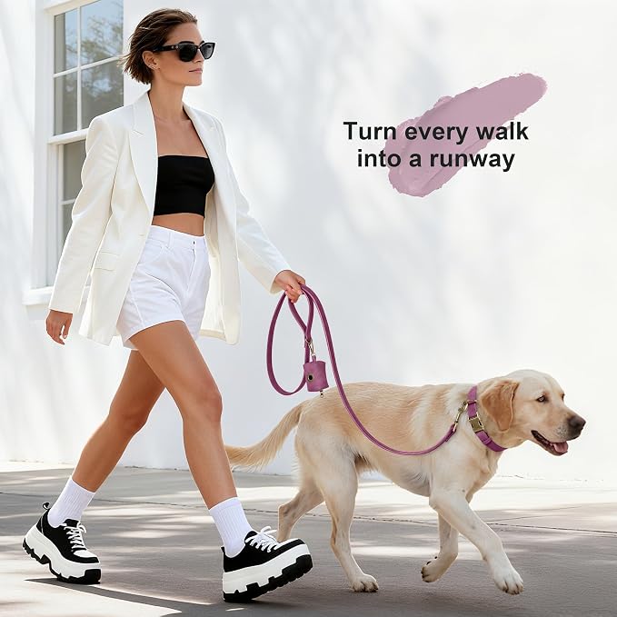 Didog Soft PU Leather Dog Collar, Stylish Quick Released Dog Collar - Image 4