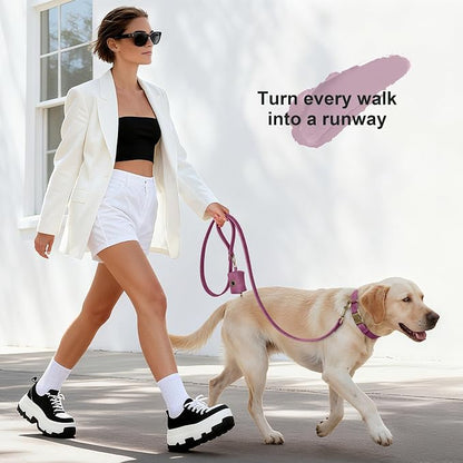 Didog Soft PU Leather Dog Collar, Stylish Quick Released Dog Collar - Image 4