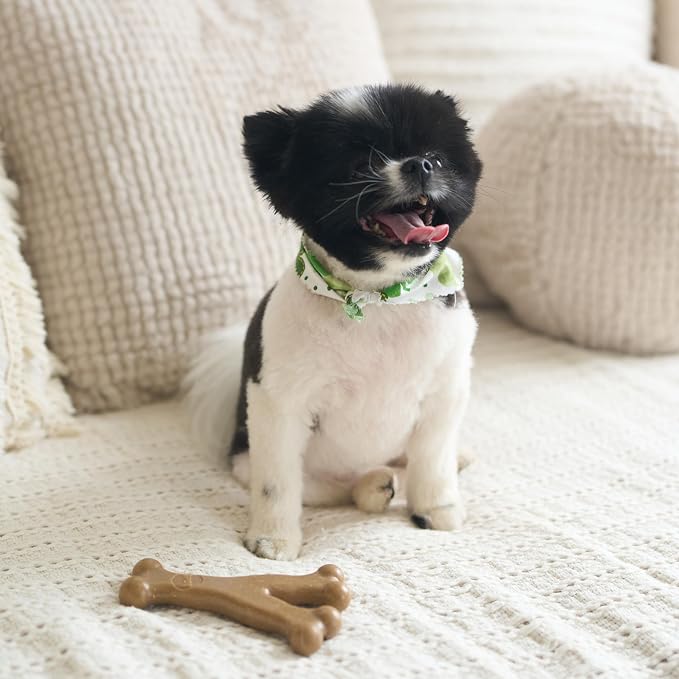 SPOT Bam-Bones Wishbone - Image 9