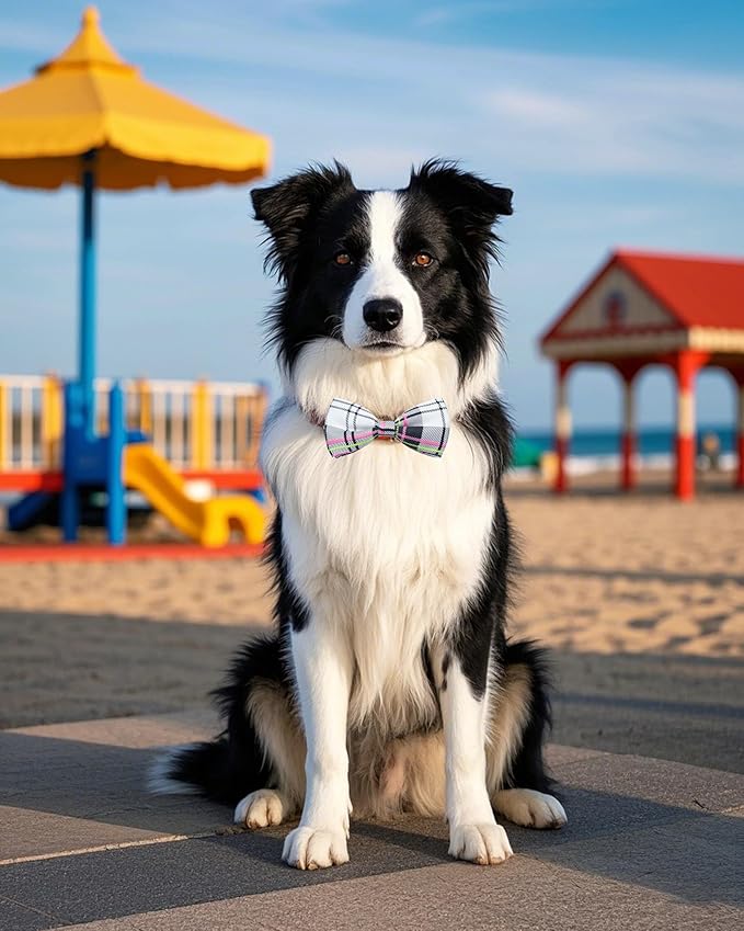 PET SHOW 5 Pack Pet Big Dogs Collar Embellishment Attachment Bow Ties - Image 7