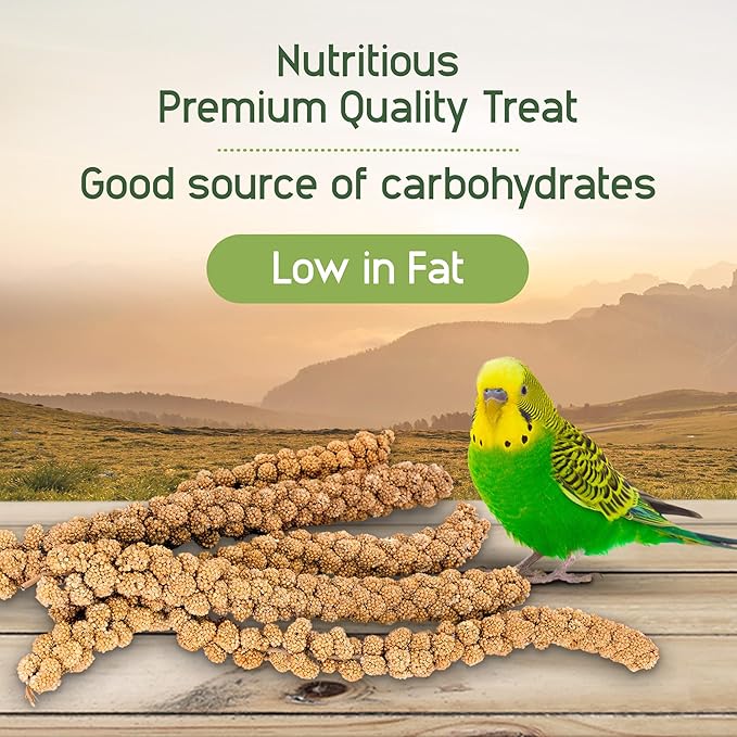 Living World – Millet Spray for Birds, 17.6 Oz – Premium Treat for Budgies - Image 4