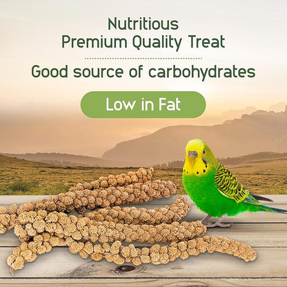 Living World – Millet Spray for Birds, 17.6 Oz – Premium Treat for Budgies - Image 4
